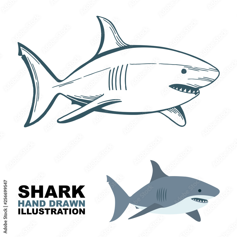 Obraz premium Shark. Shark hand drawn vector illustrations set. Shark sketch drawing.