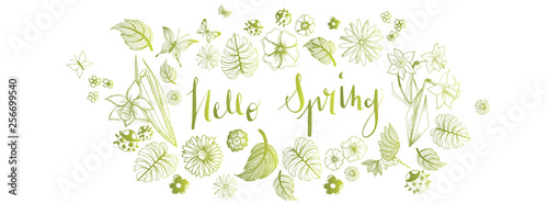 Spring illustrations banner