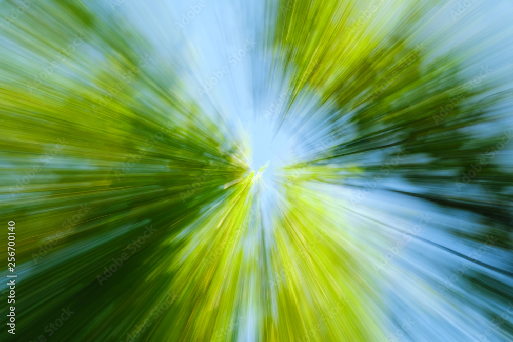 Obraz premium Abstract image of tree in countryside. Created by zooming out while closing shutter. Zoom speed blured motion.