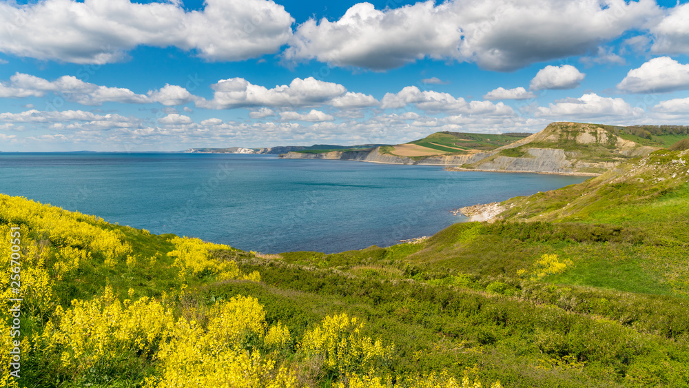 Jurassic Coast landscape near Worth Matravers, Jurassic Coast, Dorset, UK Jurassic Coast landscape near Worth Matravers, Jurassic Coast, Dorset, UK