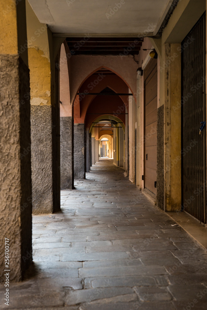 Obraz premium alley Via Dietro Duomo, with arcades. Padova, Italy