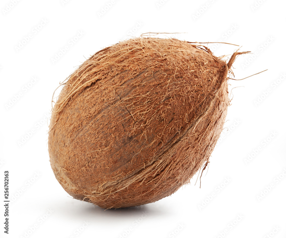 Isolated coconut Isolated coconut