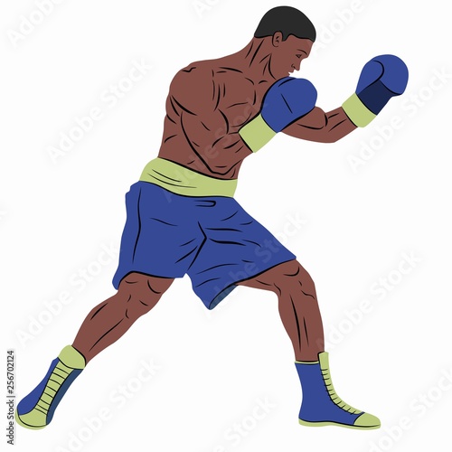 illustration of a boxer, vector draw