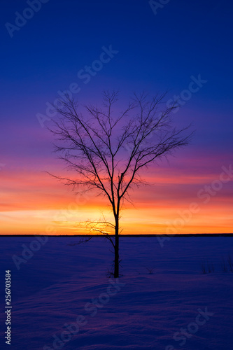 Winter sunset in Quebec, Canada © Mircea Costina