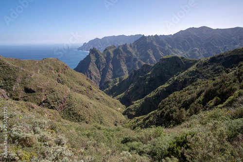 Teneriffa im Februar 2019 Kanaren kanarische Inseln Insel Tenerifa Canarias Islas