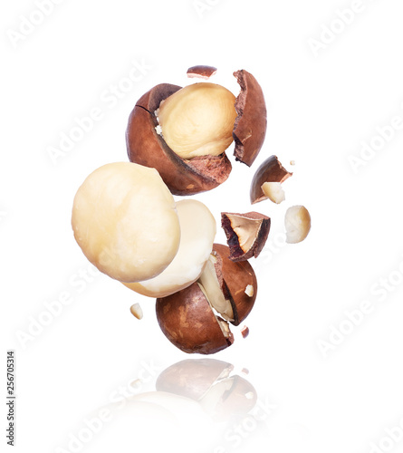 Cracked macadamia nuts close up, isolated on a white background