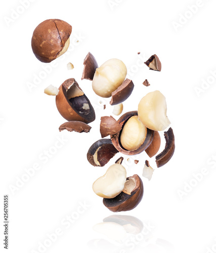 Cracked macadamia nuts fall down close-up isolated on white background