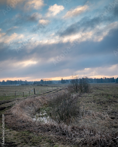 Cold sunrise in Polish forest