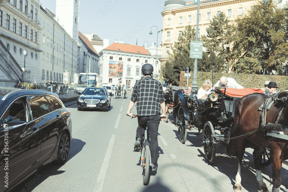 Obraz premium viennasfinest