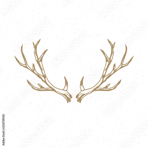 Deer horns hand drawn logo emblem template vector vintage design
