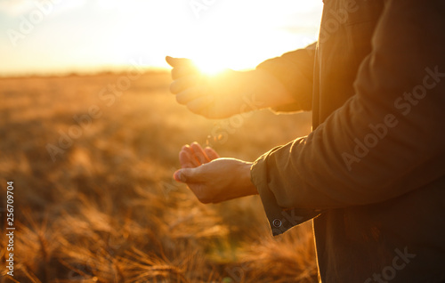 Amazing Hands Of A Farmer Close-up Holding A Handful Of Wheat Grains In A Wheat Field. Close Up Nature Photo Idea Of A Rich Harvest. Copy Space Of The Setting Sun Rays On Horizon In Rural Meadow.