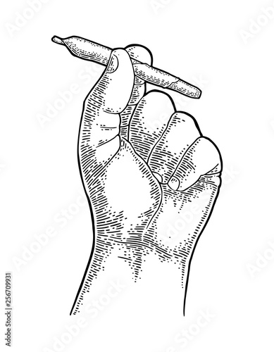 Male hand holding cigarettes with marijuana. Engraving vintage