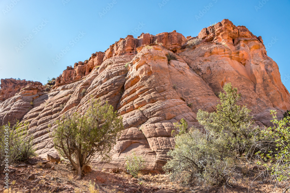 Trail Head Mount