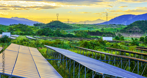 Undergrown solar photovoltaic panels