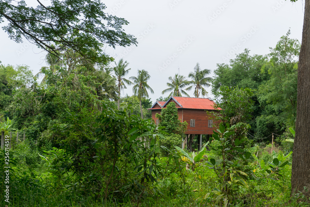 Traditional houses on stilts in the cambodian rural countryside near Angkor Wat Traditional houses on stilts in the cambodian rural countryside near Angkor Wat