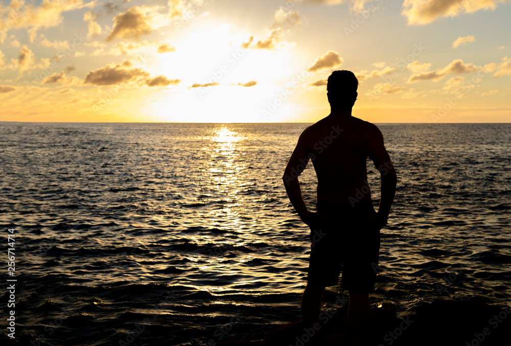 The Hawaiian sunset with Silhouette in front view