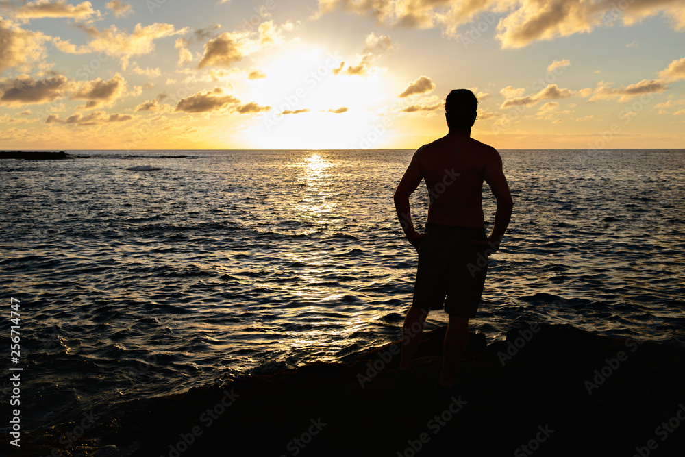 The Hawaiian sunset with Silhouette in front view