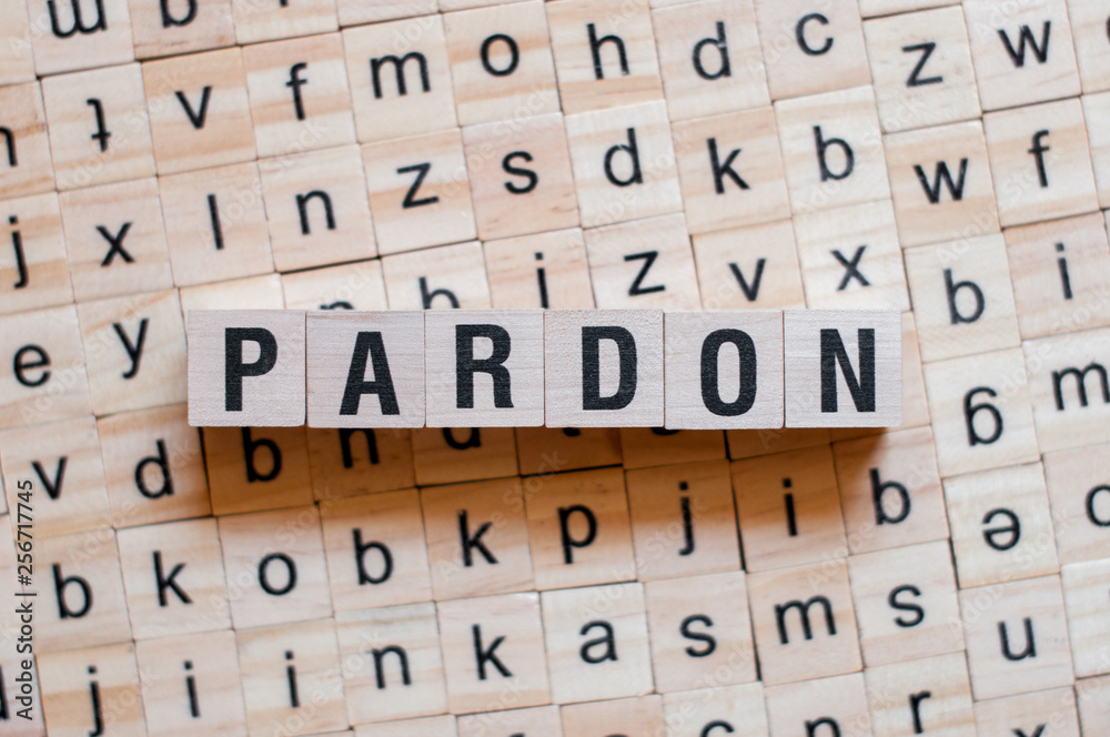 Obraz premium Pardon word concept