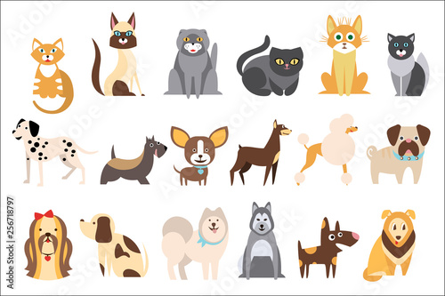 Fototapeta Naklejka Na Ścianę i Meble -  Cartoon collection of funny cats and dogs of different breeds. Domestic animals. Home pets. Human s best friends. Flat vector design for pet shop or vet clinic