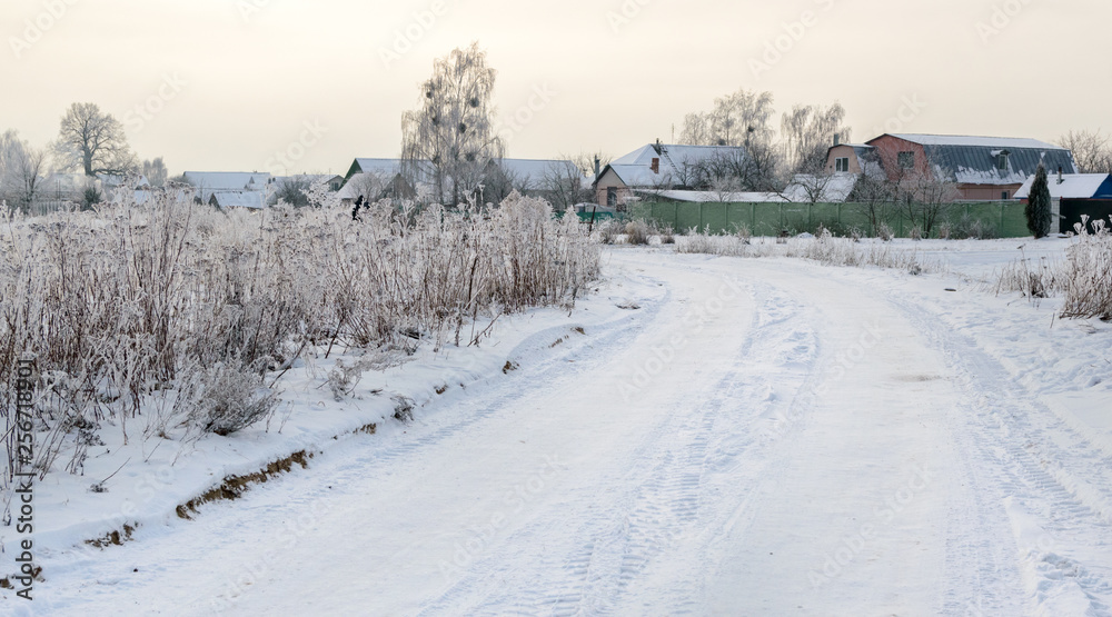 Snowy winter in the countryside. Nature in hoarfrost Snowy winter in the countryside. Nature in hoarfrost