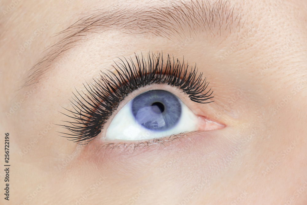 Eyelash extension procedure - woman fashion blue eye with long false eyelashes close up macro, beauty, make up and visage concept Eyelash extension procedure - woman fashion blue eye with long false eyelashes close up macro, beauty, make up and visage concept