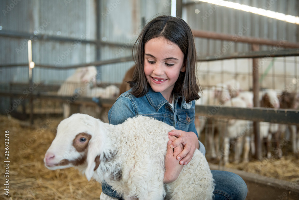 Cute girl poses with a lamb in her arms Cute girl poses with a lamb in her arms
