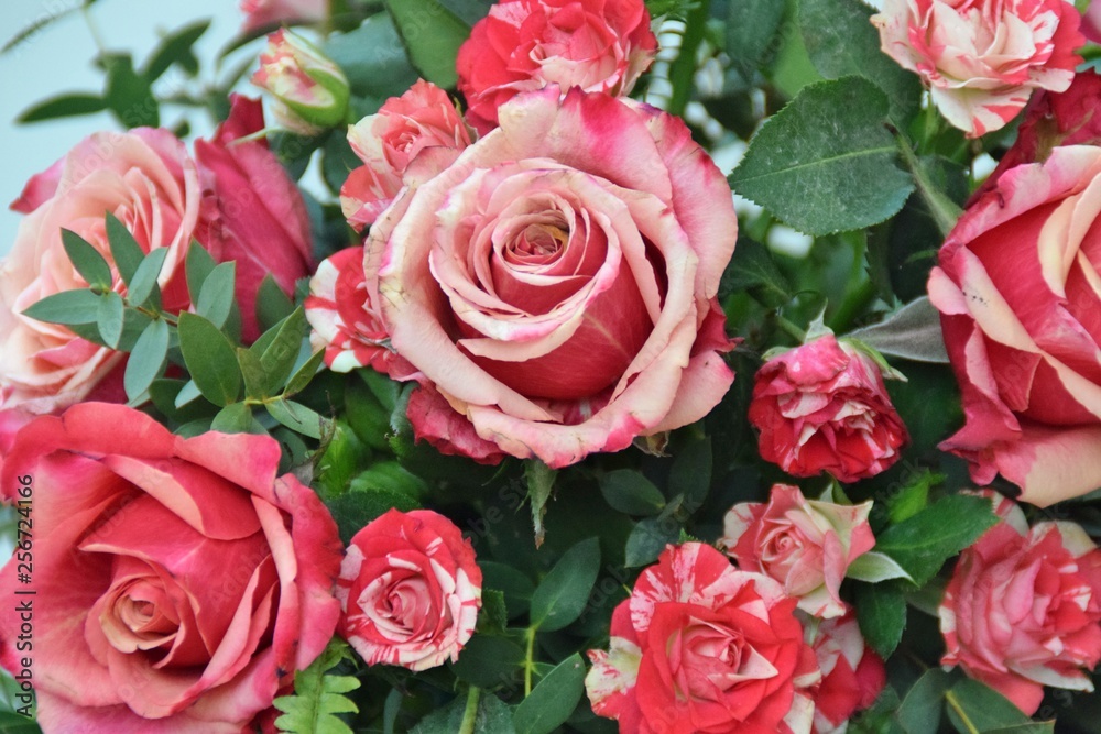 Fototapeta premium bouquet di rose