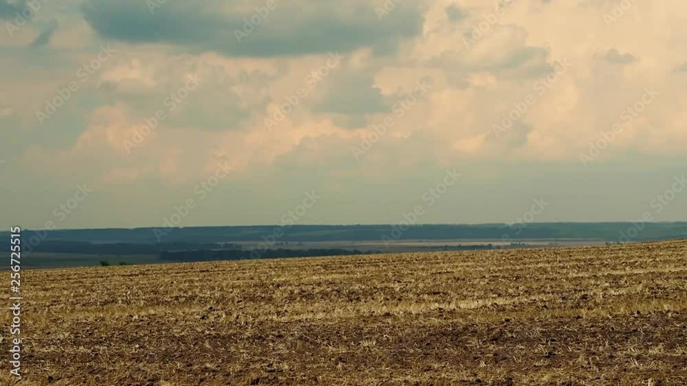 A wide field extends to the horizon in the distance you can see the