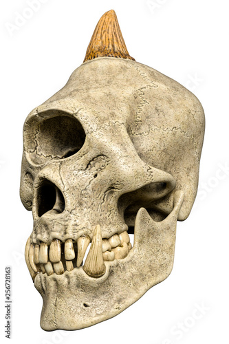Φωτογραφία cyclops monster skull in a white background