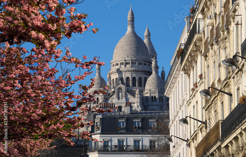 The famous basilica Sacre Coeur and cherry blossom tree in the foreground , Paris, France.