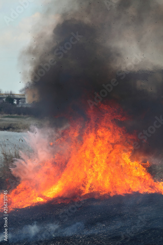 Fire in marsh, natural disaster