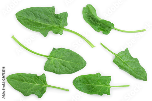 fresh spinach isolated on white background. Top view. Flat lay