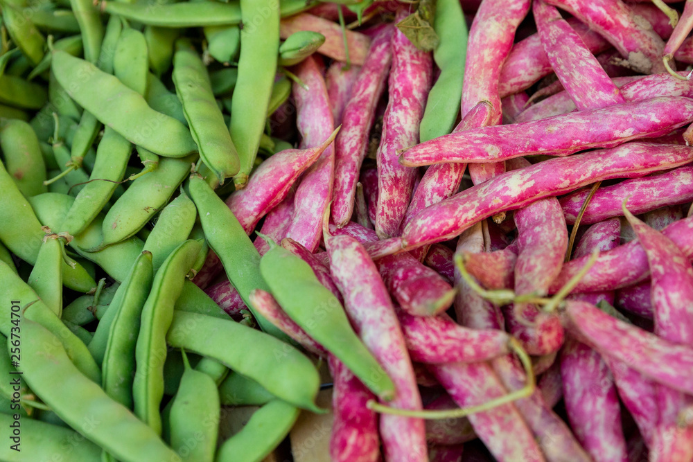 Fresh borlotti and green beans for sale in a market in Aix-en-Provence, France Fresh borlotti and green beans for sale in a market in Aix-en-Provence, France