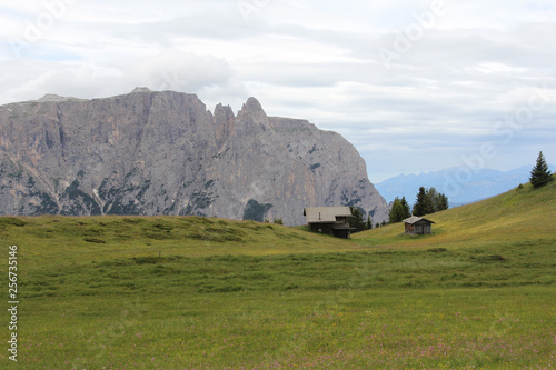 View of Dolomites on the Bullaccia Round Trail photo