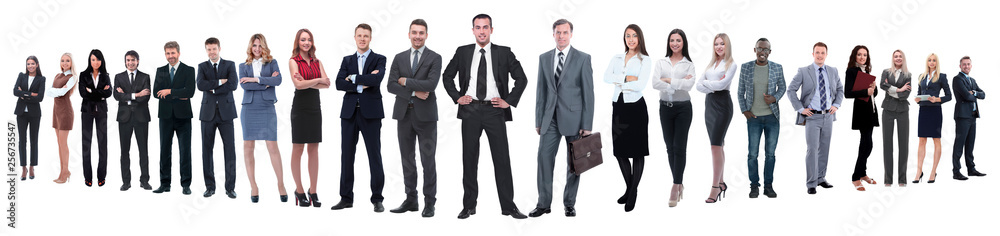 panoramic photo of a professional numerous business team panoramic photo of a professional numerous business team