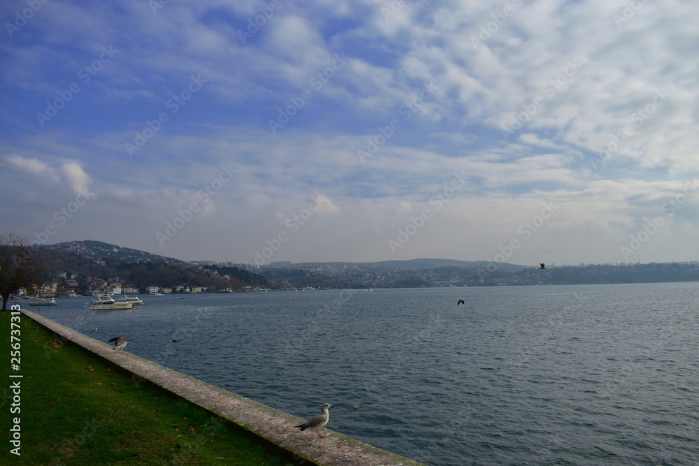 blue sky and seagull in Istanbul Strait, ships and fishing boats. blue sky and seagull in Istanbul Strait, ships and fishing boats.
