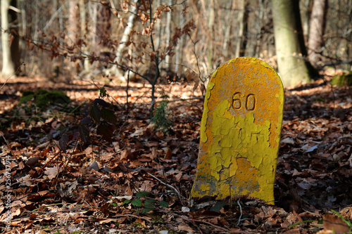 Gelber Stein Markierung Meilenstein 60 im Wald