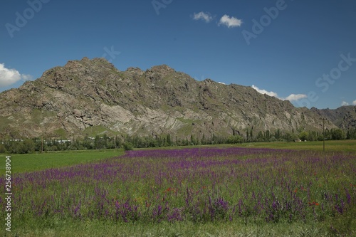  red earth hills and landscape.oltu/erzurum/turkey photo