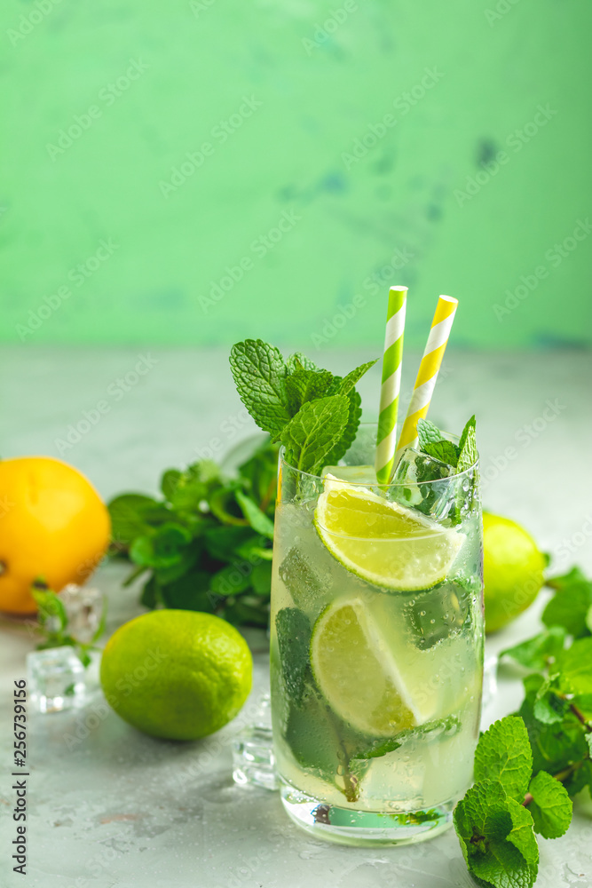 Fototapeta premium Mojito cocktail with lime and mint in highball glass