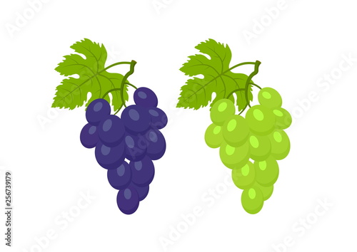 red and white grapes with leafs isolated vector image of fruit