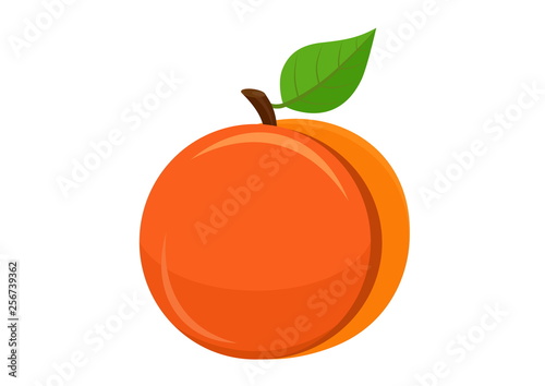 ripe peach with leafs isolated vector image
