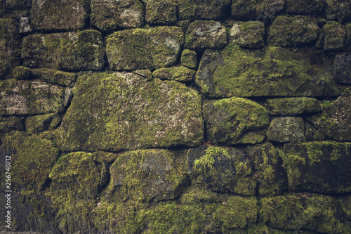 mossy wall green with brick work 