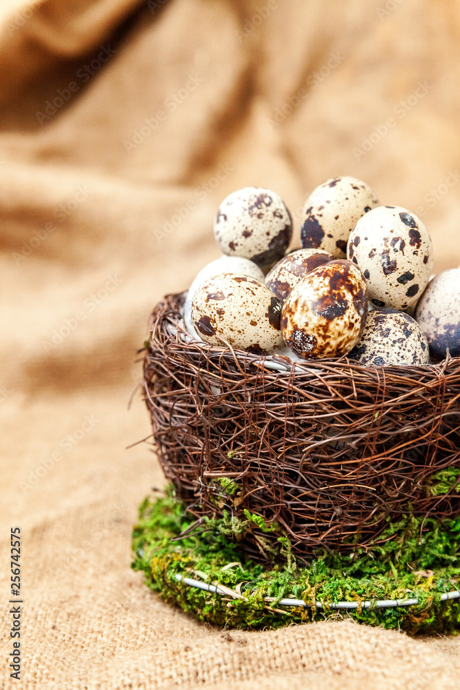 Easter decoration with egg in nest and cotton on brown rustic linen canvas background. Easter concept. Flat lay top view copy space. Spring greeting card Easter decoration with egg in nest and cotton on brown rustic linen canvas background. Easter concept. Flat lay top view copy space. Spring greeting card
