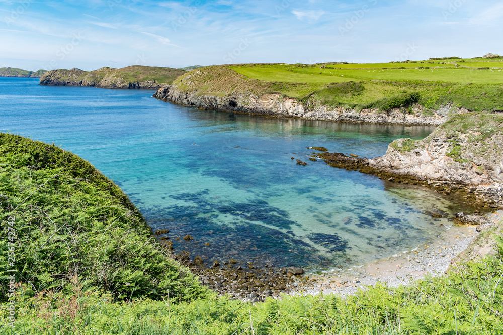 A bay of clear blue water with a small rocky beach. There is rich green vegetation around, and fields with sheep in the distance. Taken in Pembrokeshire, South Wales.