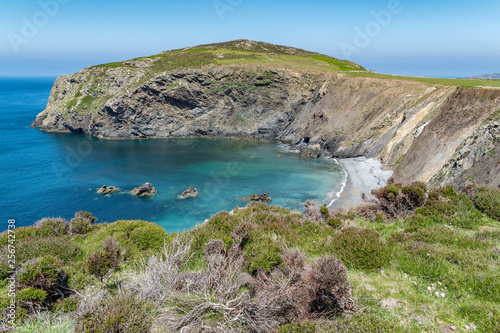 A bay of clear blue water with a small rocky beach. There is rich green vegetation around, and a rocky headland in the distance. Taken on Ramsey Island, Pembrokeshire, South Wales.