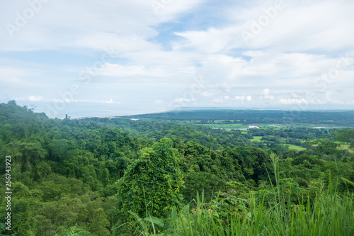 Costa Rica rainforest