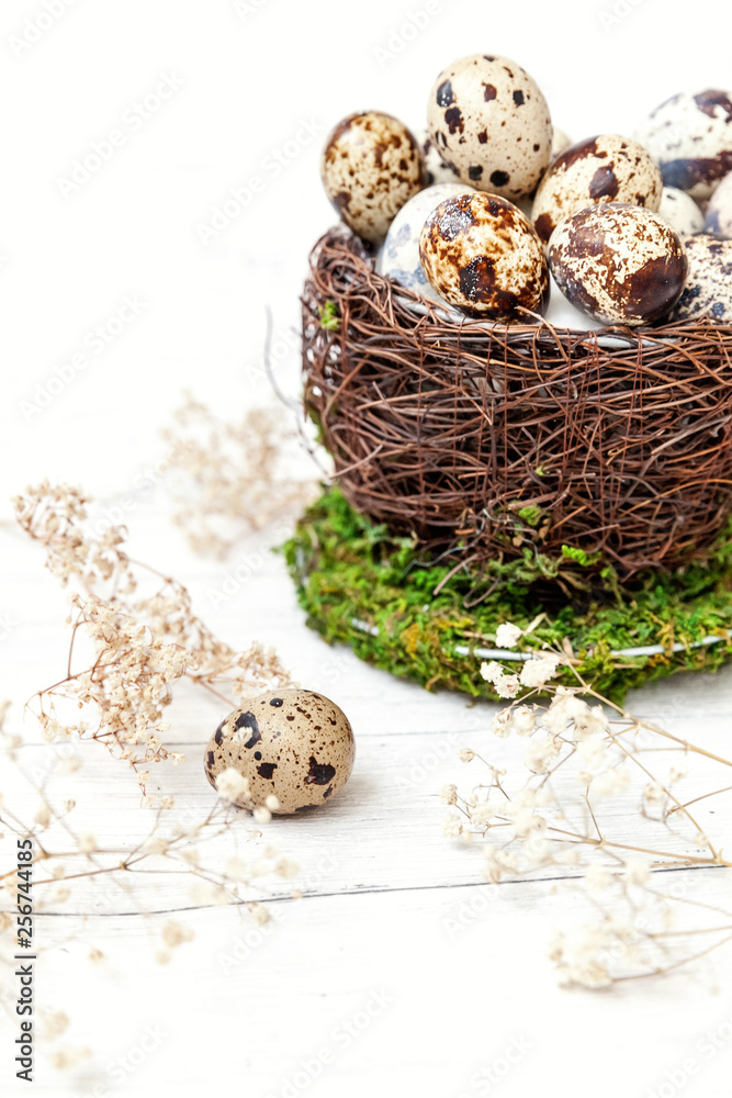 Easter decoration with egg in nest cup on white wooden background. Easter concept. Flat lay top view copy space. Spring greeting card Easter decoration with egg in nest cup on white wooden background. Easter concept. Flat lay top view copy space. Spring greeting card
