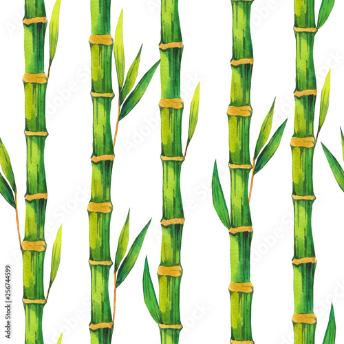 SPA watercolor seamless pattern. Illustrations bamboo branch with leaves. Nature background.