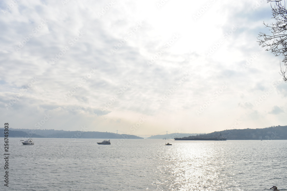 blue sky and seagull in Istanbul Strait, ships and fishing boats. blue sky and seagull in Istanbul Strait, ships and fishing boats.