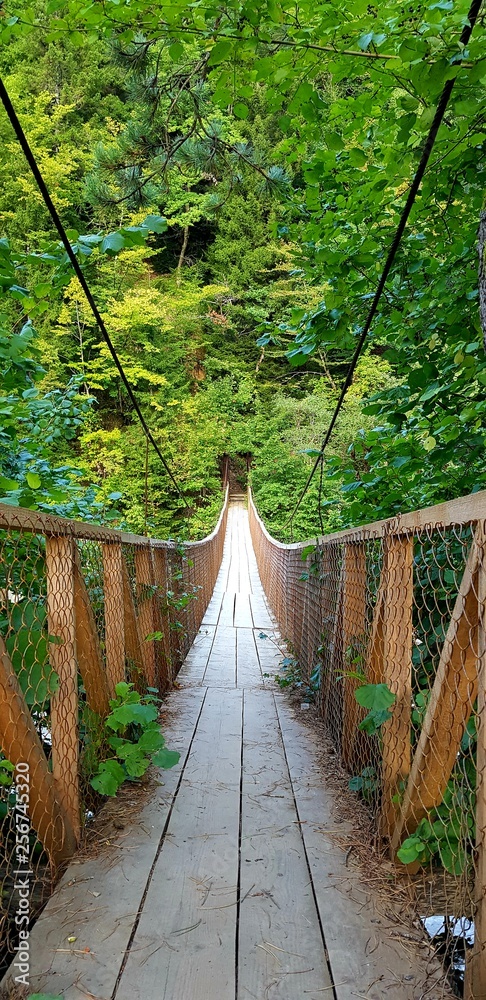 Fototapeta premium Bridge of The Nature